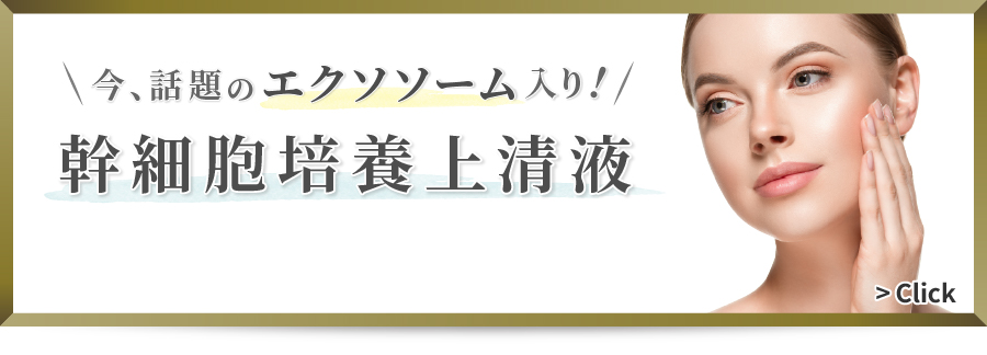 2023年9月のオススメ情報【幹細胞培養上清液（エクソソーム）】